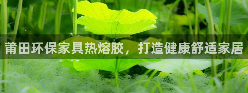 杏耀网址官网
