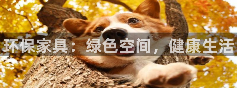 杏耀app怎样申请退款