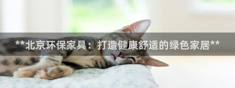 杏耀代理主管qq