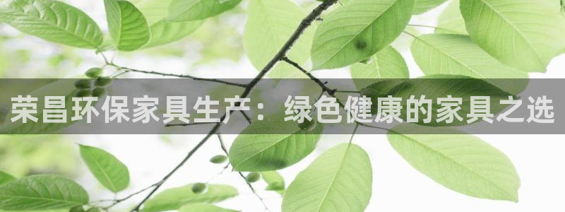 杏耀测速网址电脑版