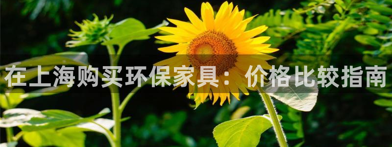 杏耀平台手机下载