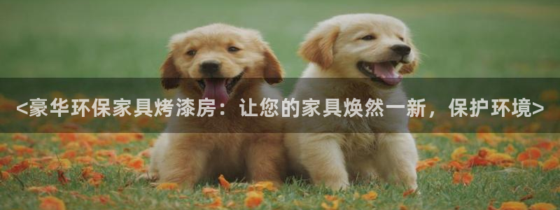 杏耀软件