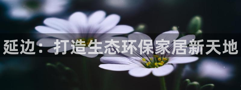 杏耀总代