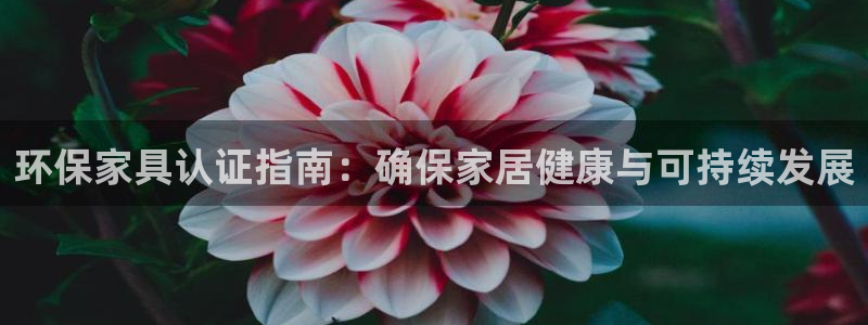 杏耀平台主管
