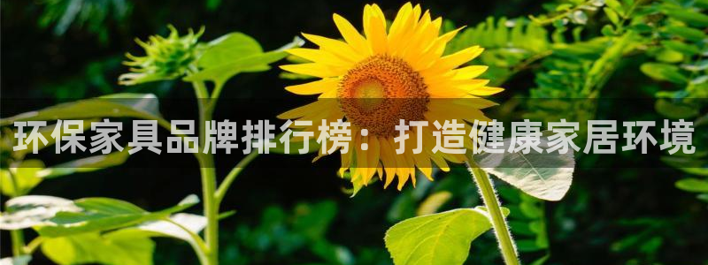 杏耀总代