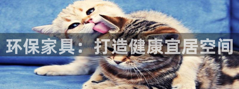杏耀官网娱乐