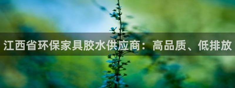 杏耀总代