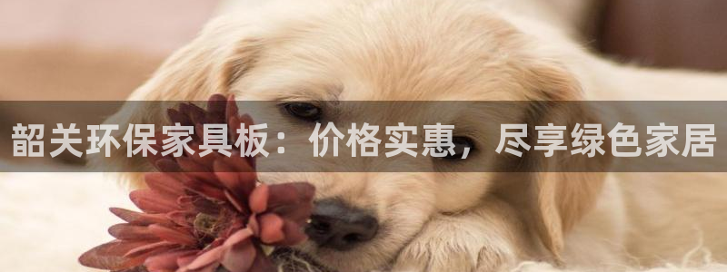 杏耀平台黑款