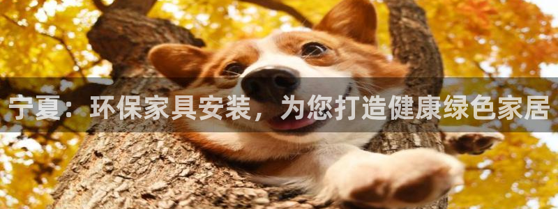 杏耀平台专用通道