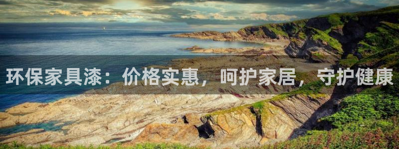 杏耀代理日工资多少