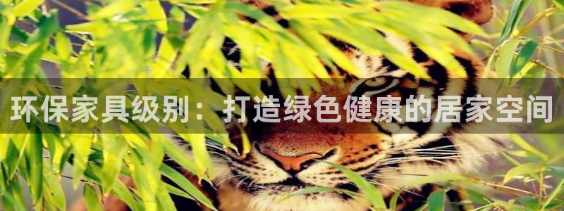 杏耀软件