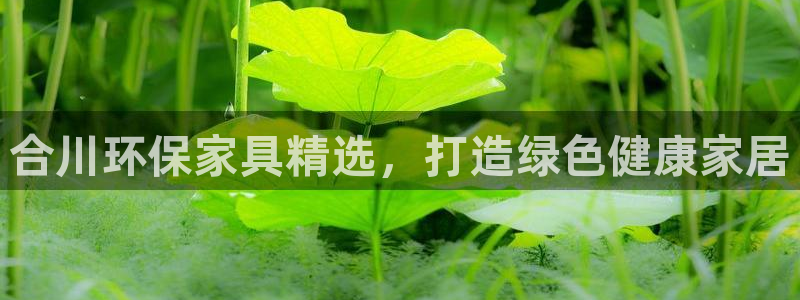 杏耀官网登陆