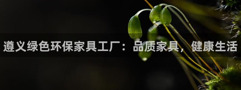 杏耀平台怎么样