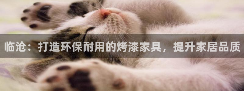 杏耀是什么平台：临沧：打造环保耐用的烤漆家具，提升家居品质