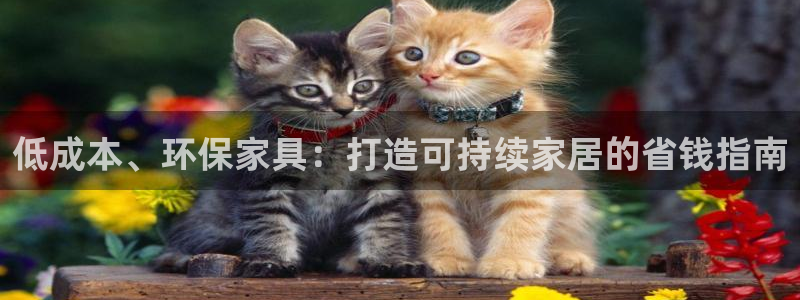 杏耀手机登录线路测速