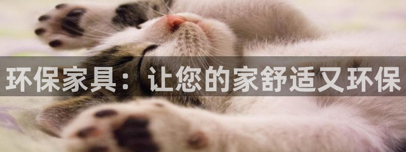 杏耀管网登录