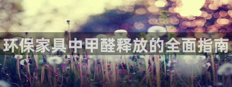 杏耀管网登录：环保家具中甲醛释放的全面指南
