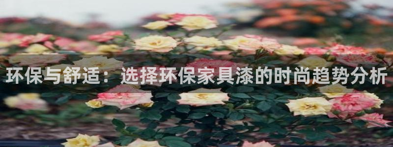杏耀平台官方登录
