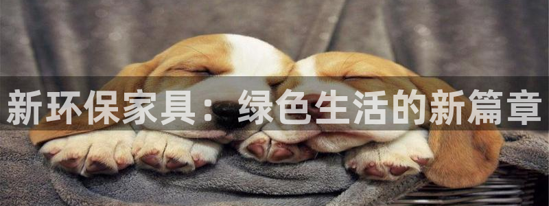 杏耀平台线路测速