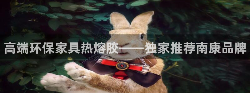 杏耀官网app：高端环保家具热熔胶——独家推荐南康品牌