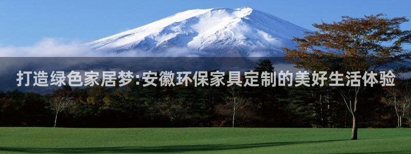 杏耀官网娱乐：打造绿色家居梦:安徽环保家具定制的美好生活体验