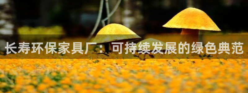 杏耀线路测速登录中心：长寿环保家具厂：可持续发展的绿色典范