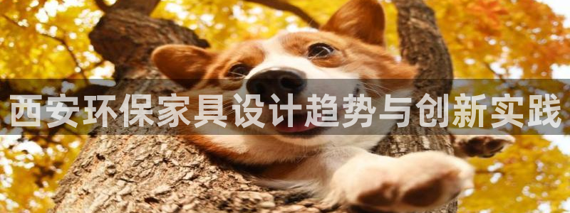 杏耀平台登录：西安环保家具设计趋势与创新实践