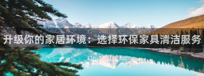 杏耀平台娱乐：升级你的家居环境：选择环保家具清洁服务