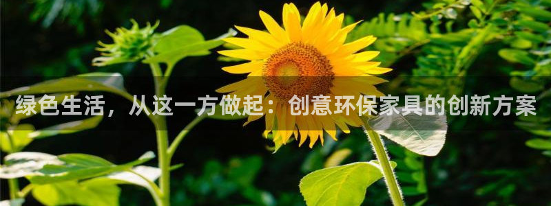 杏耀平台测