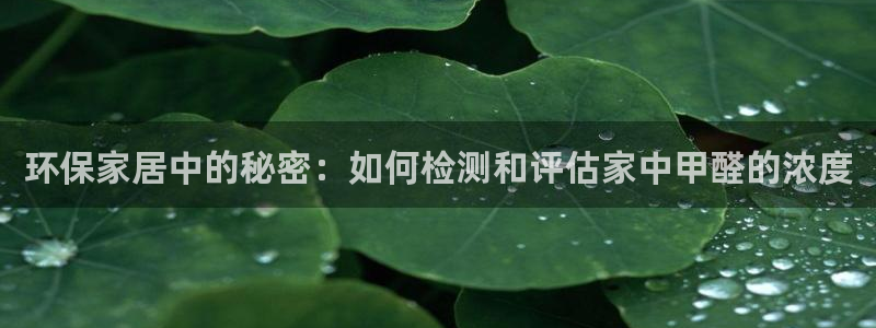 杏耀网页手机登录：环保家居中的秘密：如何检测和评估家中甲醛的