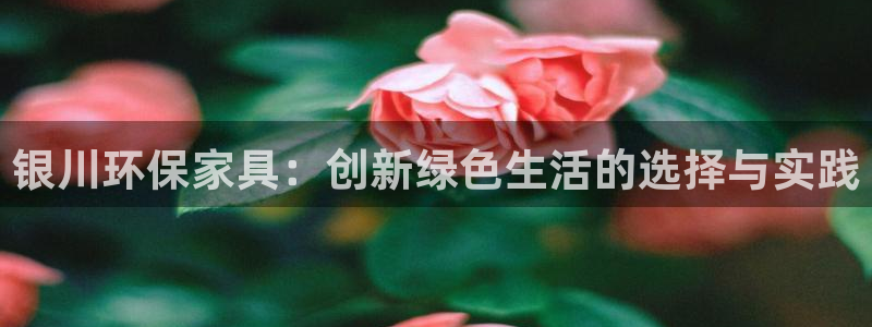 杏耀是什么平台：银川环保家具：创新绿色生活的选择与实践