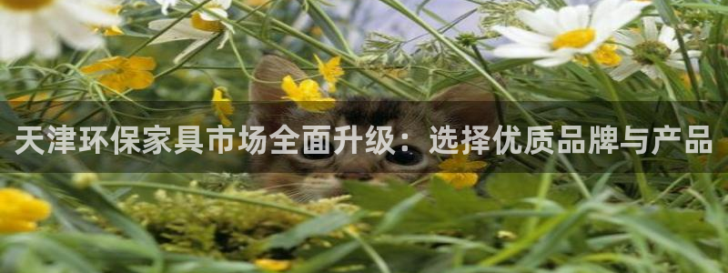 杏耀平台下载：天津环保家具市场全面升级：选择优质品牌与产品