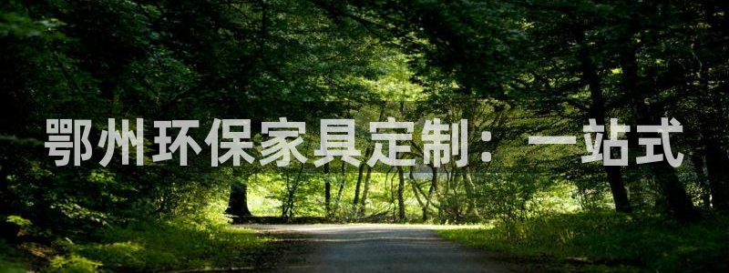 杏耀线路测速登录中心：鄂州环保家具定制：一站式