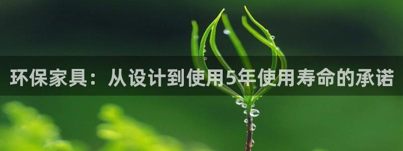 杏耀平台线路测速登录：环保家具：从设计到使用5年使用寿命的承
