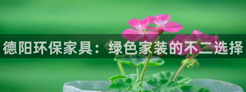 杏耀平台网站是什么：德阳环保家具：绿色家装的不二选择