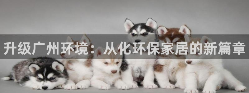 杏耀客户端登陆：升级广州环境：从化环保家居的新篇章