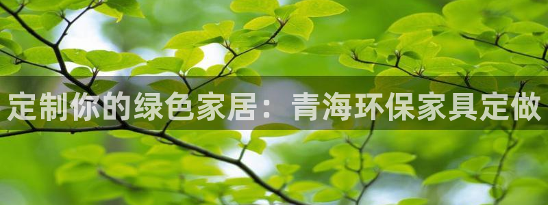 杏耀平台娱乐登陆：定制你的绿色家居：青海环保家具定做