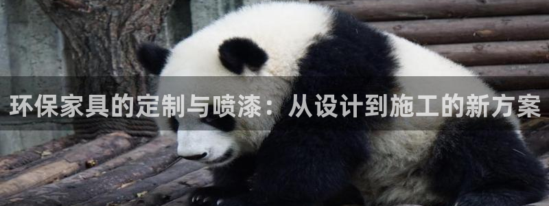 杏耀平台登陆测速：环保家具的定制与喷漆：从设计到施工的新方案