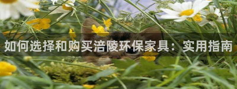 杏耀平台官网下载：如何选择和购买涪陵环保家具：实用指南