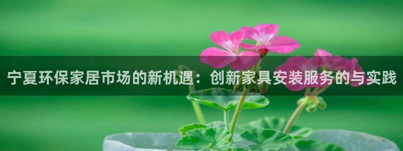 杏耀平台代理怎么赚钱的：宁夏环保家居市场的新机遇：创新家具安