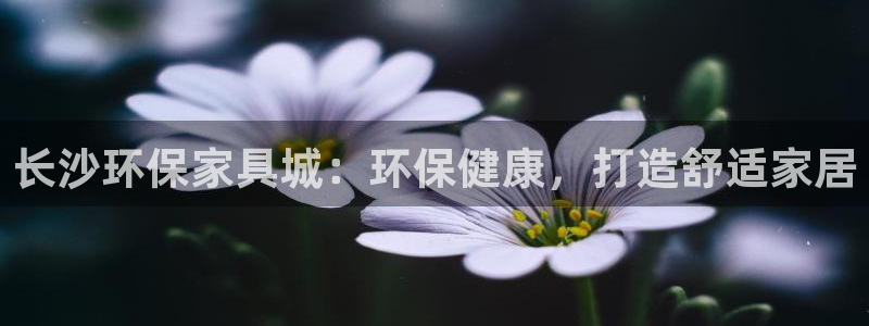 杏耀平台线路测试