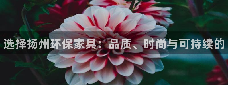 杏耀平台怎么注册：选择扬州环保家具：品质、时尚与可持续的
