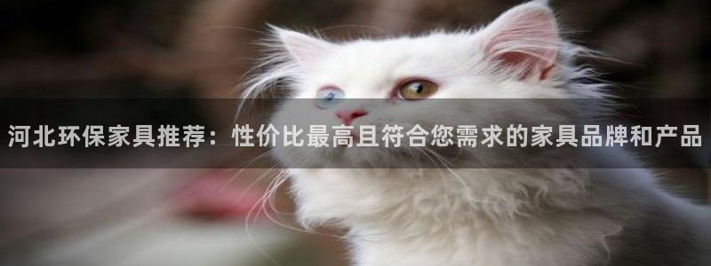 杏耀平台已7O777：河北环保家具推荐：性价比最高且符合您需