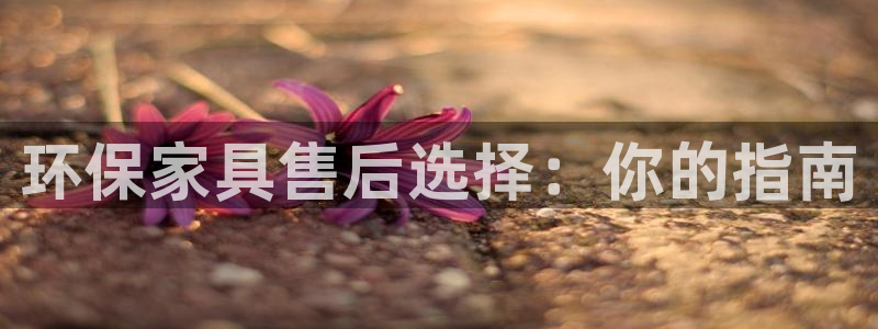 杏耀平台官方登陆：环保家具售后选择：你的指南