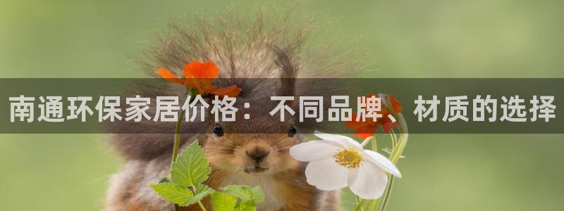杏耀平台代理：南通环保家居价格：不同品牌、材质的选择