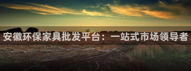 杏耀平台正规么：安徽环保家具批发平台：一站式市场领导者